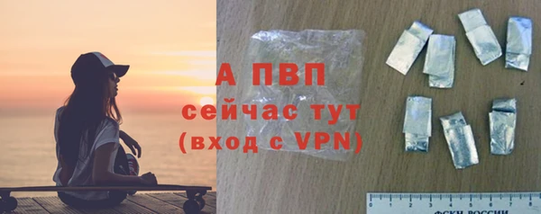 стаф Беломорск