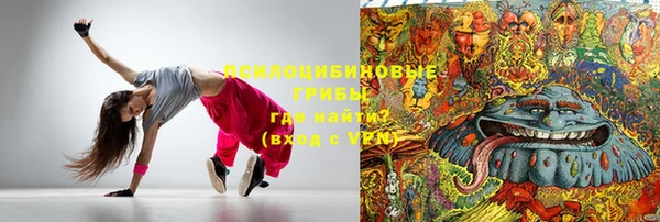 тгк Богородицк